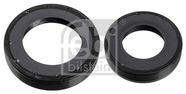 Shaft Seal Set, differential
